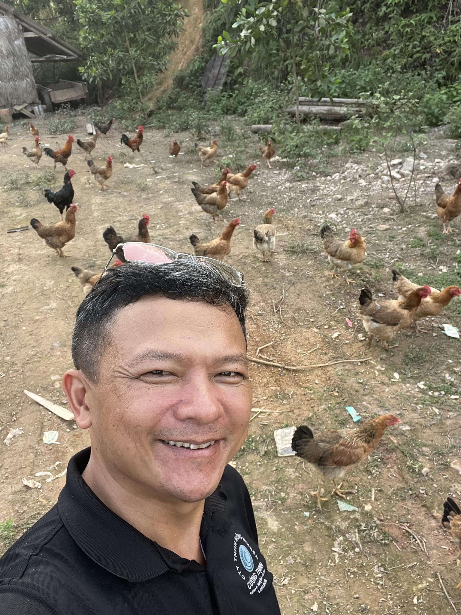 Hùng thăm trại gà