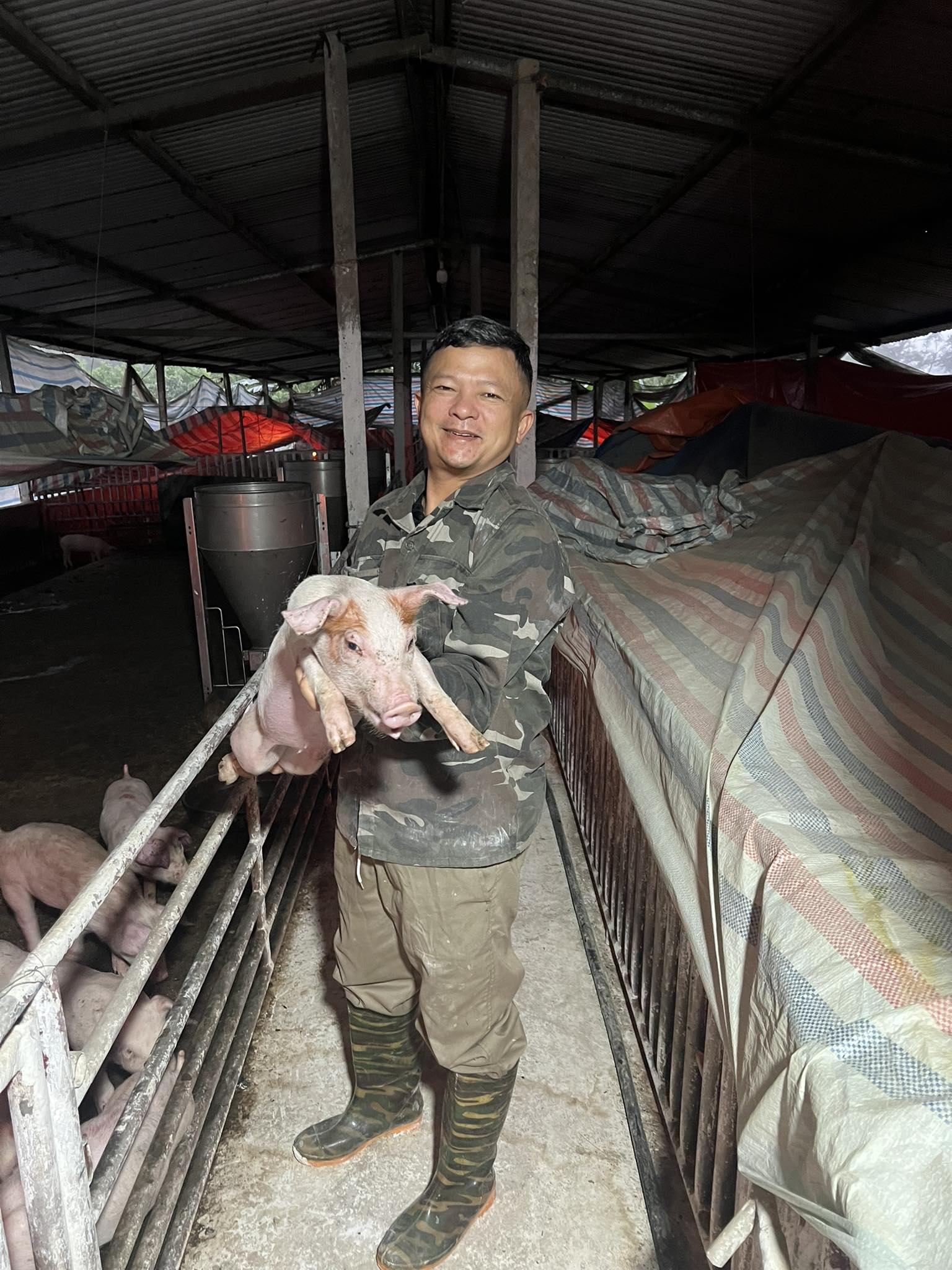 Hùng tại trại lợn